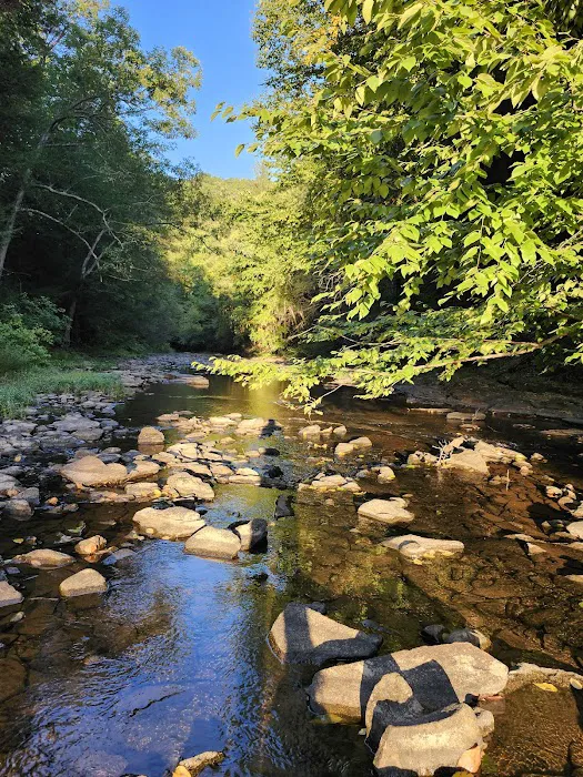 Trough Creek State Park Campground 4
