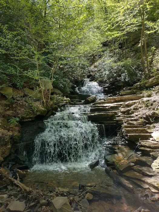 Trough Creek State Park Campground 1