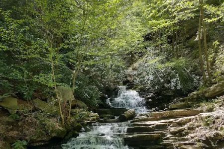 Trough Creek State Park Campground