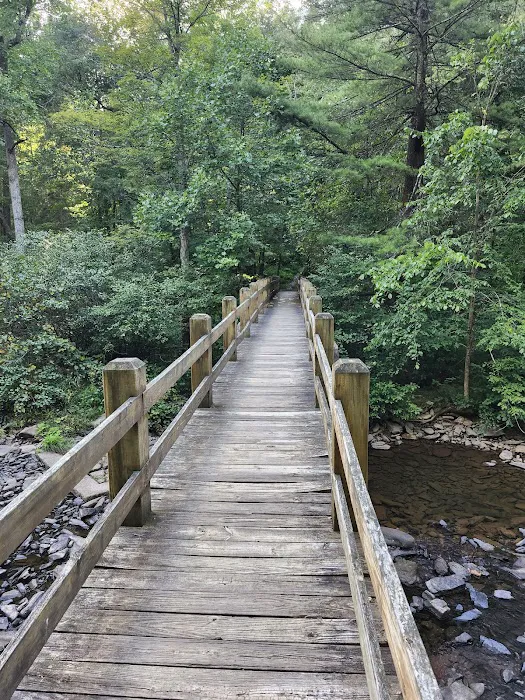 Trough Creek State Park Campground 2