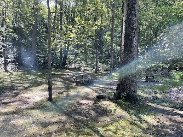 Trough Creek State Park Campground 3