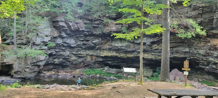 Trough Creek State Park Campground 7