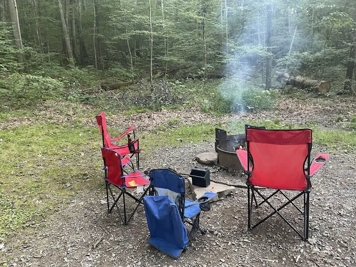 Trough Creek State Park Campground 8