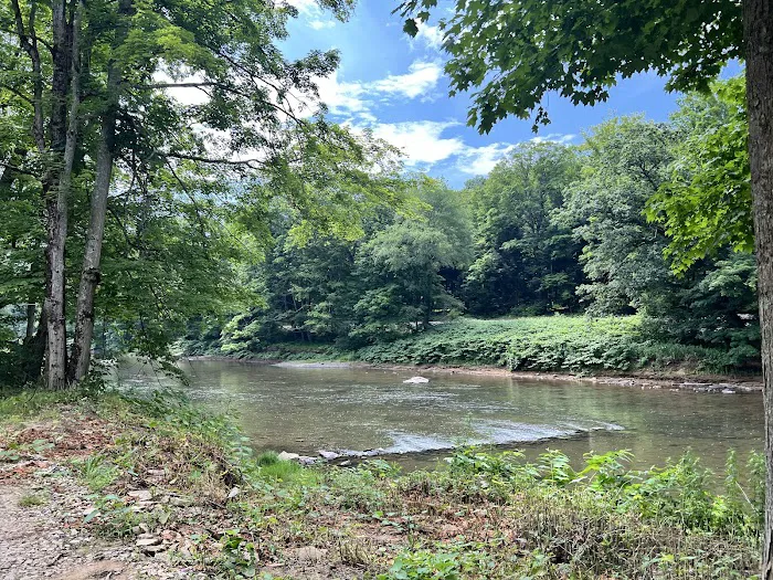 Chess Falls Campground 5
