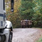 Rocky Top Campgrounds