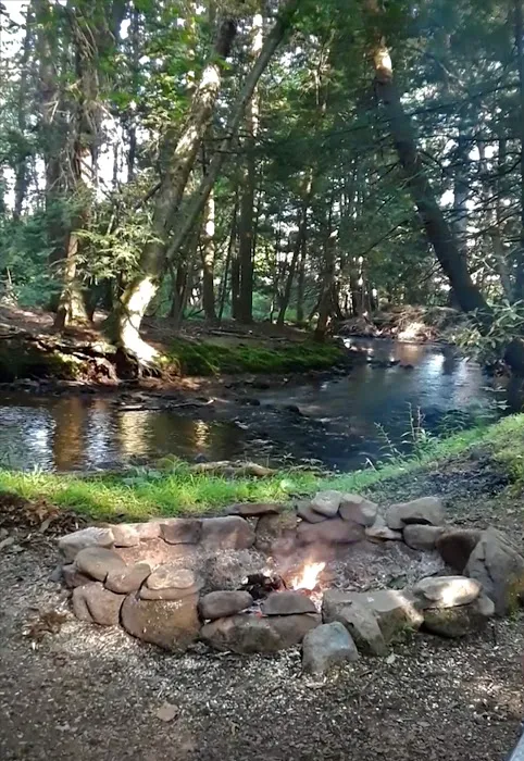 Bald Eagle Campsite 1