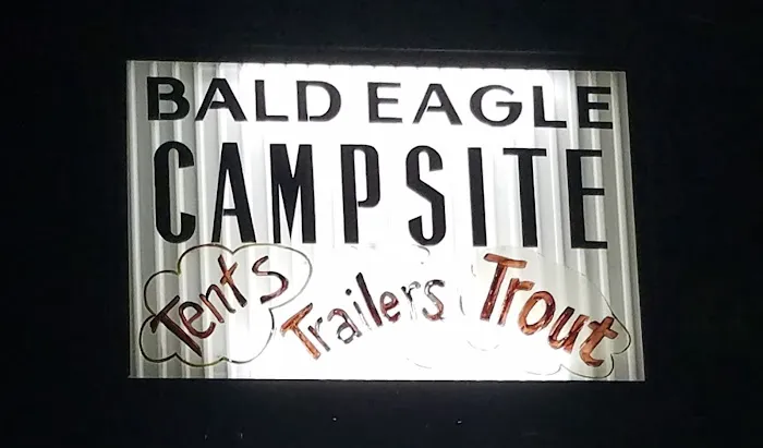 Bald Eagle Campsite 4