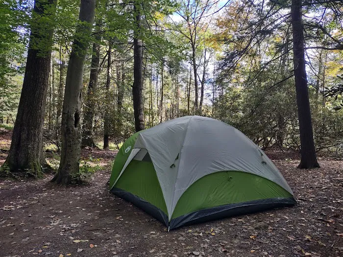 Bald Eagle Campsite 7