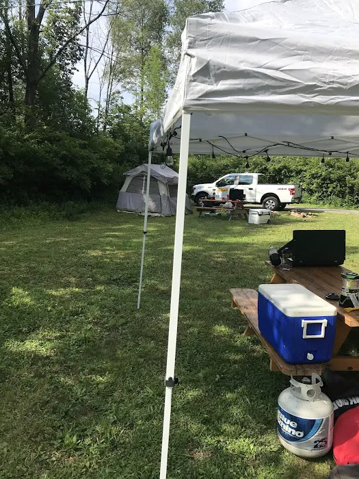 Bald Eagle Campsite 10