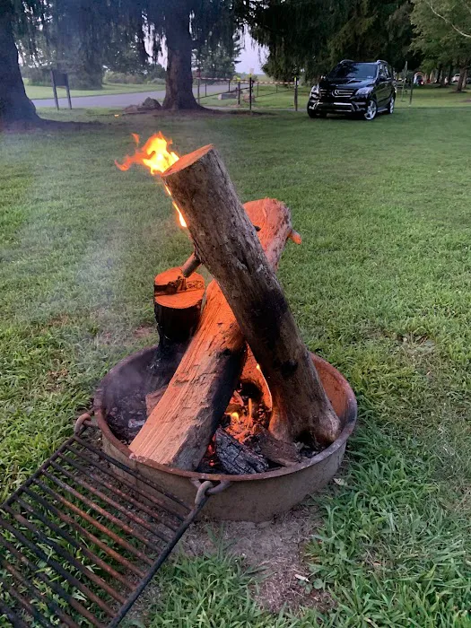 Campground 8