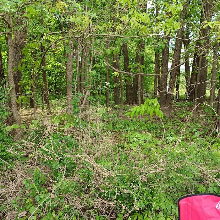 Curwensville Lake Recreation 9