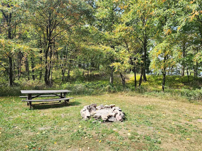 Rothrock State Forest Campsite #2 2