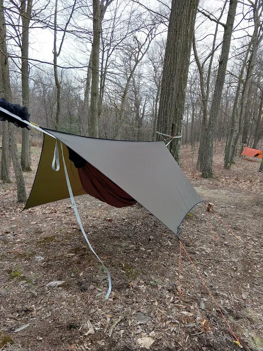 Rothrock State Forest Campsite #2 1