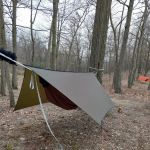 Rothrock State Forest Campsite #2