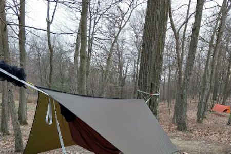 Rothrock State Forest Campsite #2