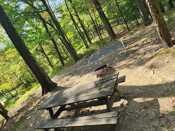 Rothrock State Forest Campsite #2 4