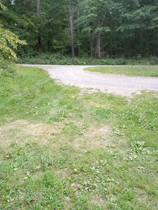 Rothrock State Forest Campsite #2 5