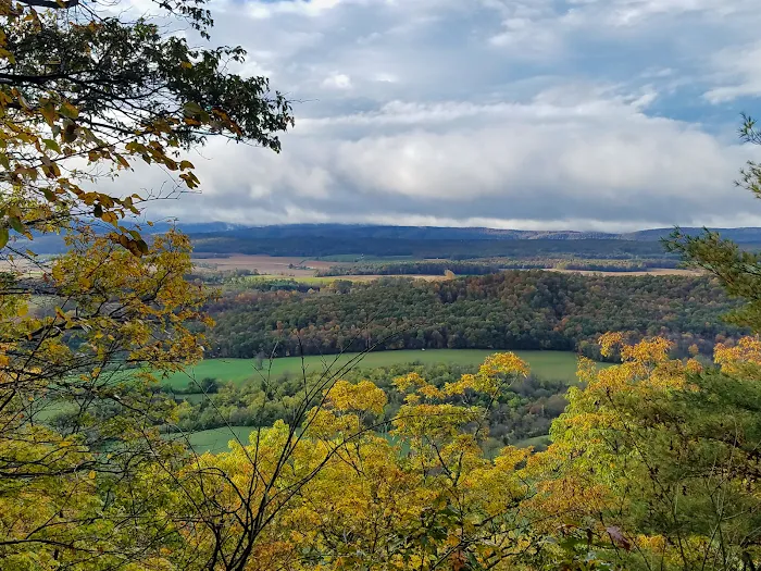 Rothrock State Forest Campsite #2 3