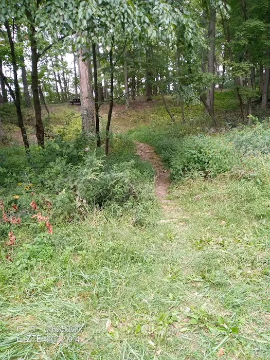 Rothrock State Forest Campsite #2 10