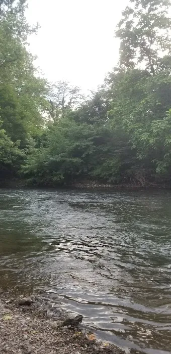 Lazy Dayz Riverfront Campground 6