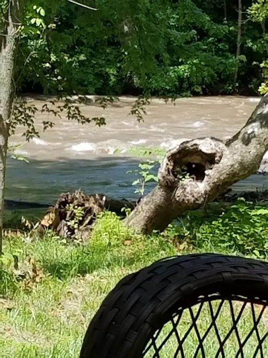 Lazy Dayz Riverfront Campground 8