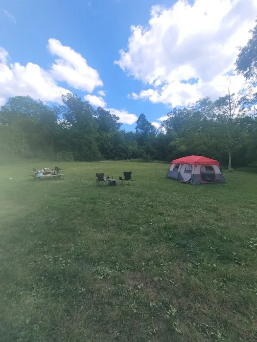 Rothrock State Forest Campsite #1 1