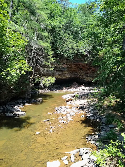 Rothrock State Forest Campsite #1 3