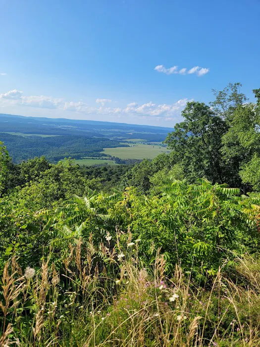 Rothrock State Forest Campsite #1 2