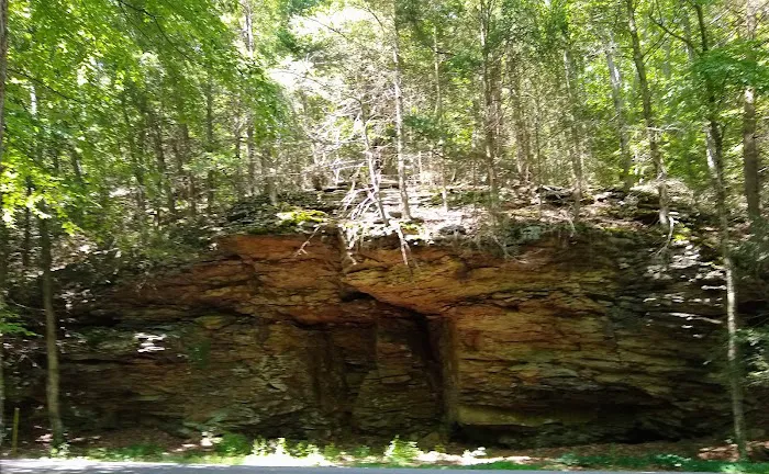 Rothrock State Forest Campsite #1 5