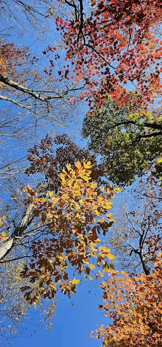 Seven Points Campground 7