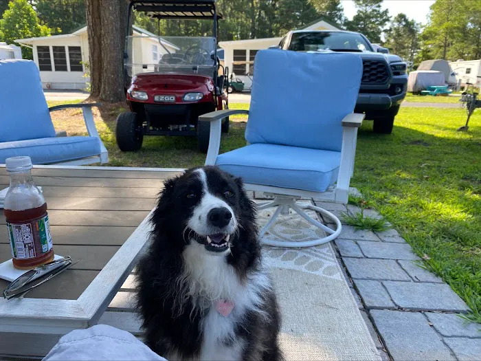 Bali Hi RV Park 9