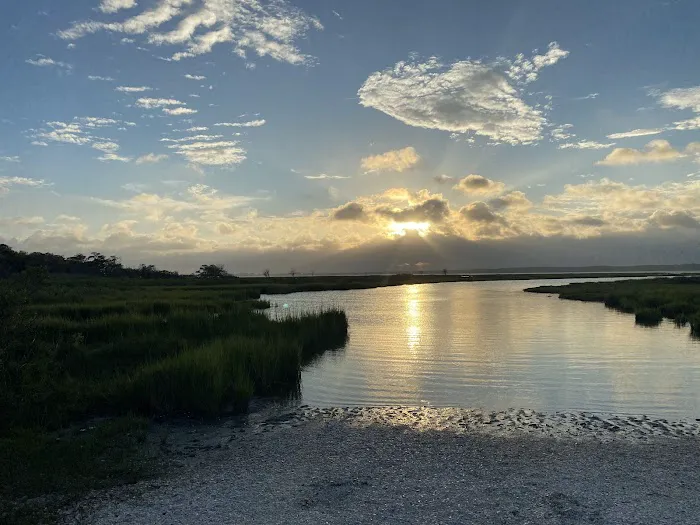 Assateague National Seashore Campground 3
