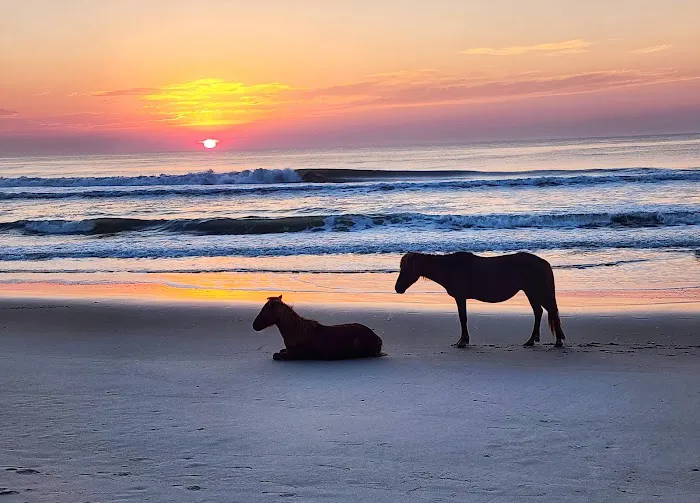 Assateague National Seashore Campground 5