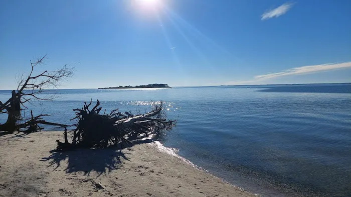 Assateague National Seashore Campground 6