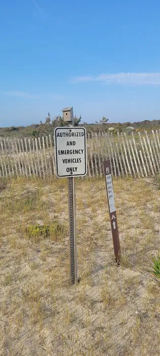 Campsite J41 6
