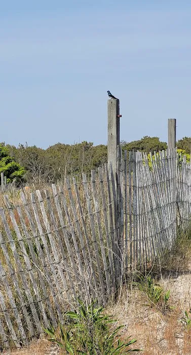 Campsite J38 3