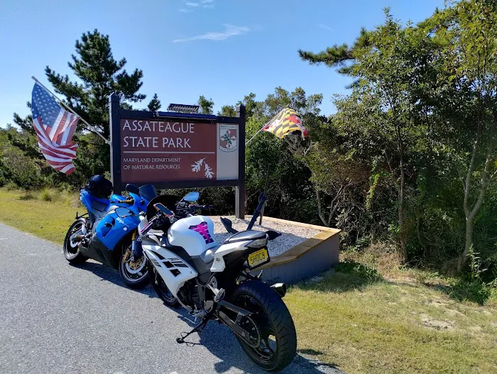 Assateague State Park Youth Group Campsites 3