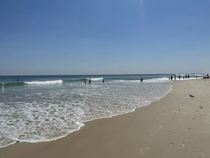 Assateague State Park Youth Group Campsites 2