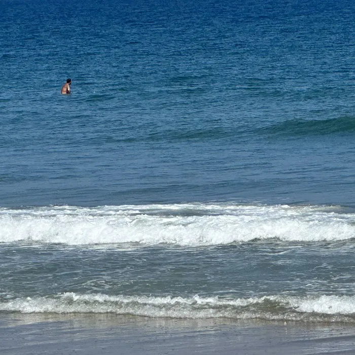 Assateague State Park Youth Group Campsites 6