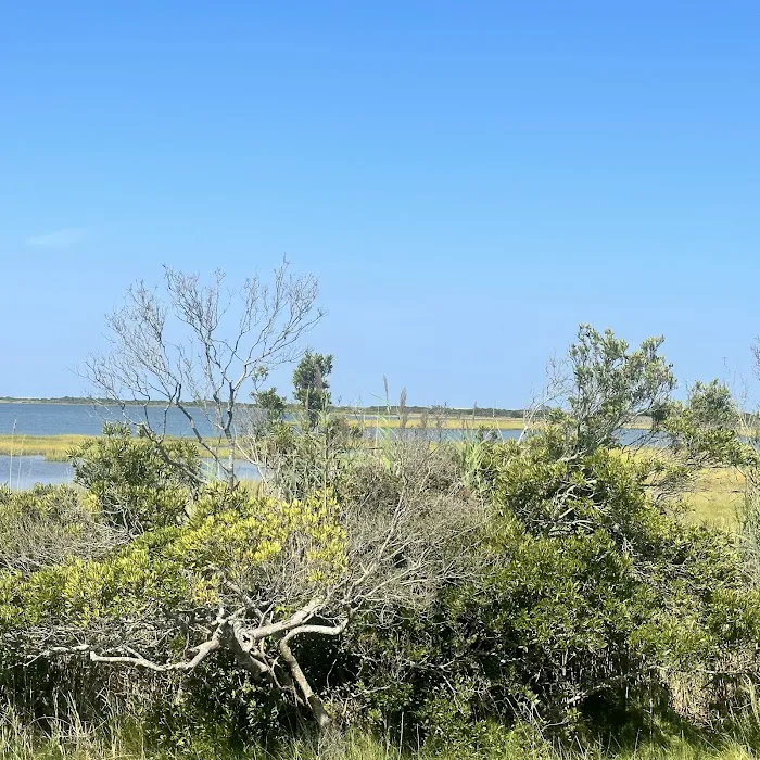 Assateague State Park Youth Group Campsites 9