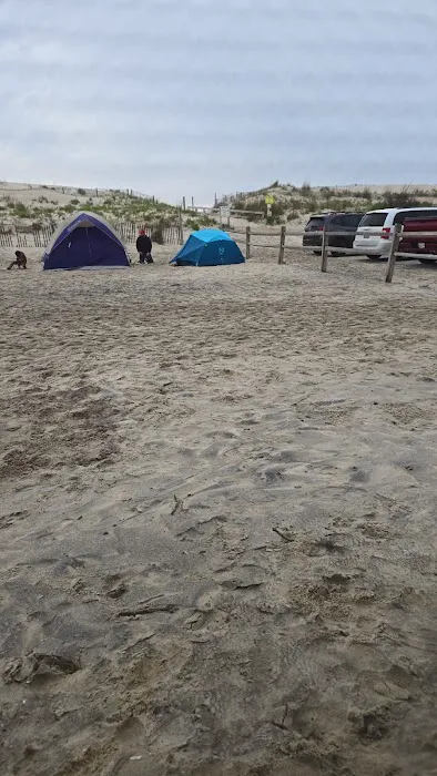 Assateague State Park Youth Group Campsites 10