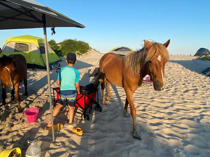 Oceanside Group Campground 4