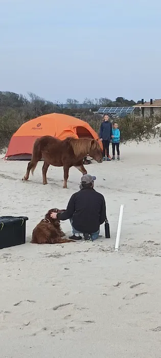Oceanside Group Campground 7