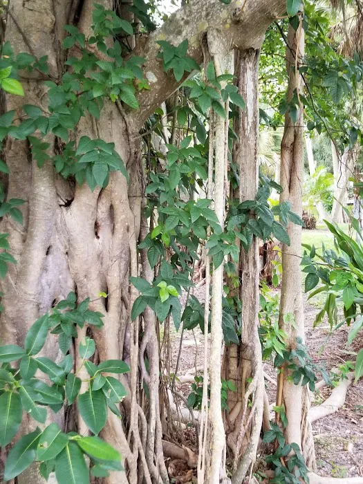 A Garden Walk 9