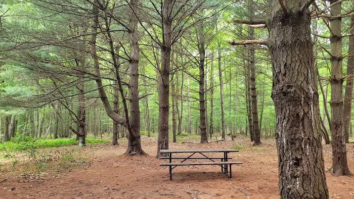 Whispering Pines 6