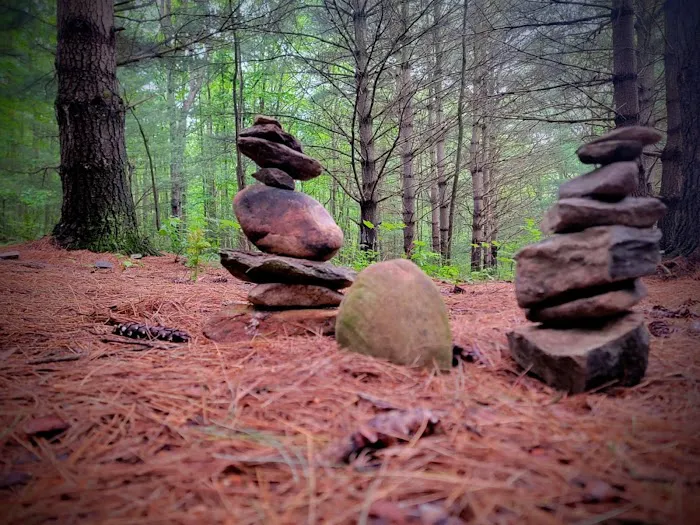 Whispering Pines 2