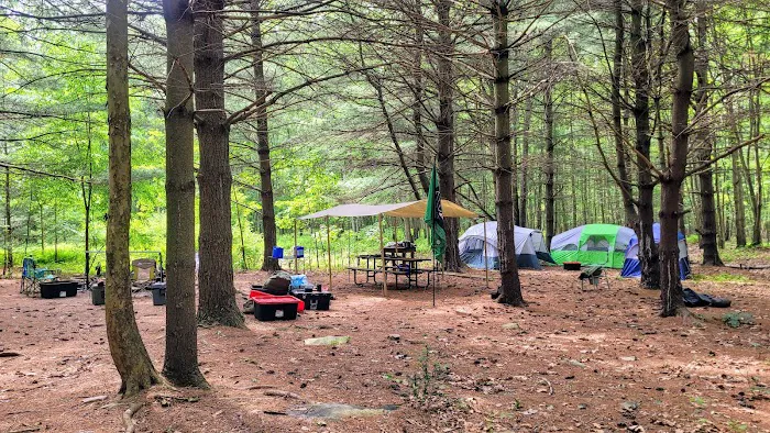 Whispering Pines 3