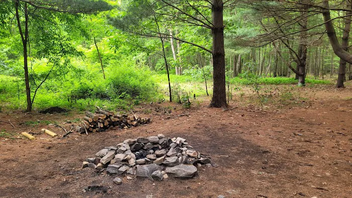 Whispering Pines 8