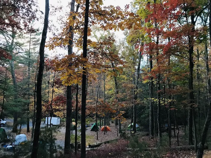 Chinquapin Hill Campground 1
