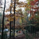Chinquapin Hill Campground